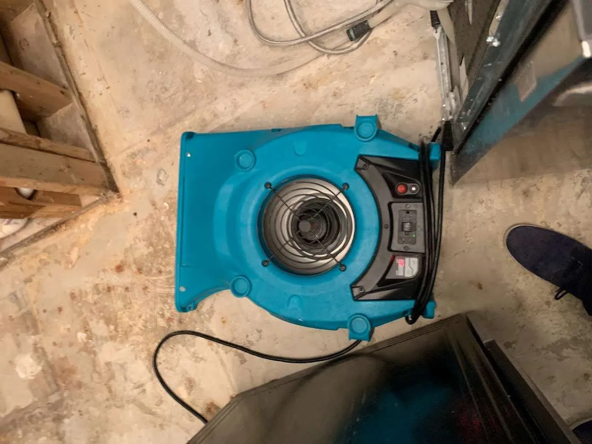 Air mover drying equipment for Mold Remediation & Removal in Barnegat